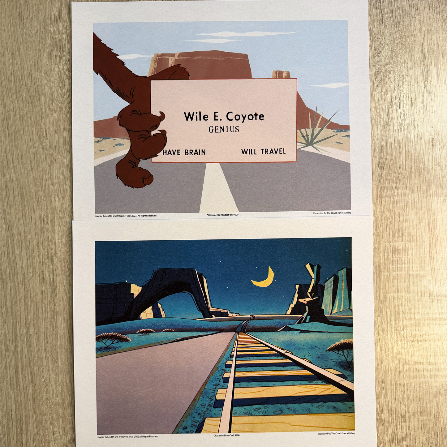 Desert Genius - 11x14 2 Pack