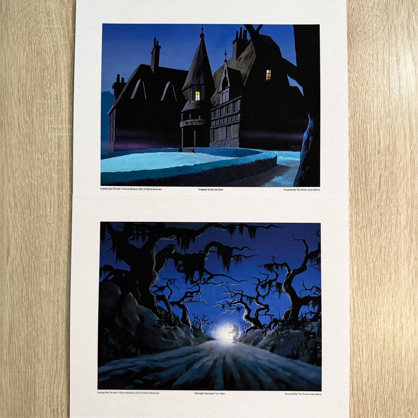 Midnight Paths - 8x10 2 Pack