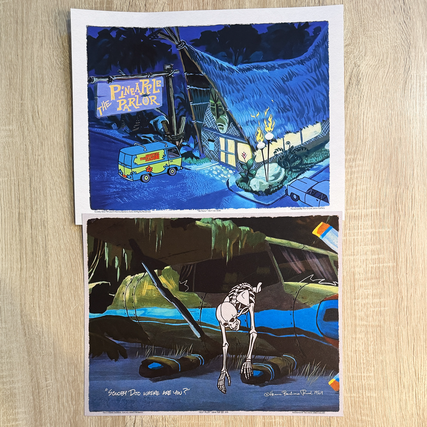 The Pineapple and The Pilot - 11x14 2 Pack