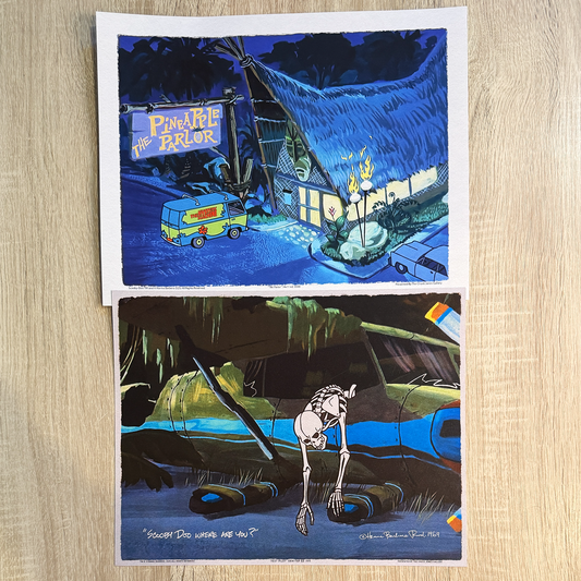 The Pineapple and The Pilot - 11x14 2 Pack