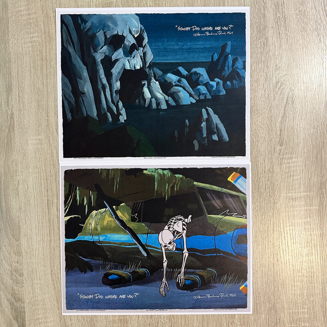 Skull and Bones - 11x14 2 Pack